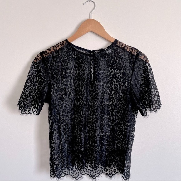 NWT H&M Lace Leopard Print Short Sleeve Top - Picture 1 of 8